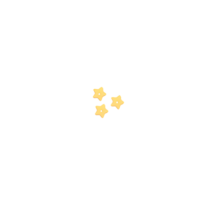 REGGIA #80 Stelline 500g